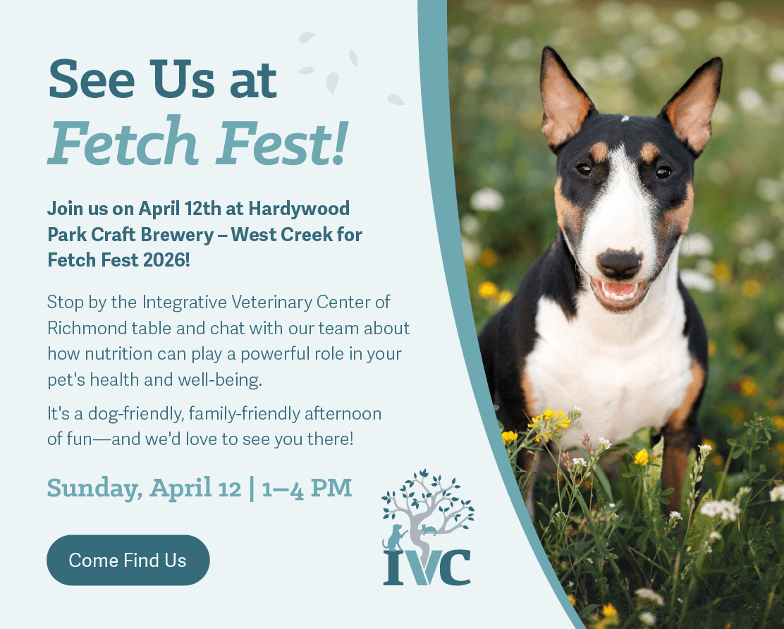 See us at fetch fest